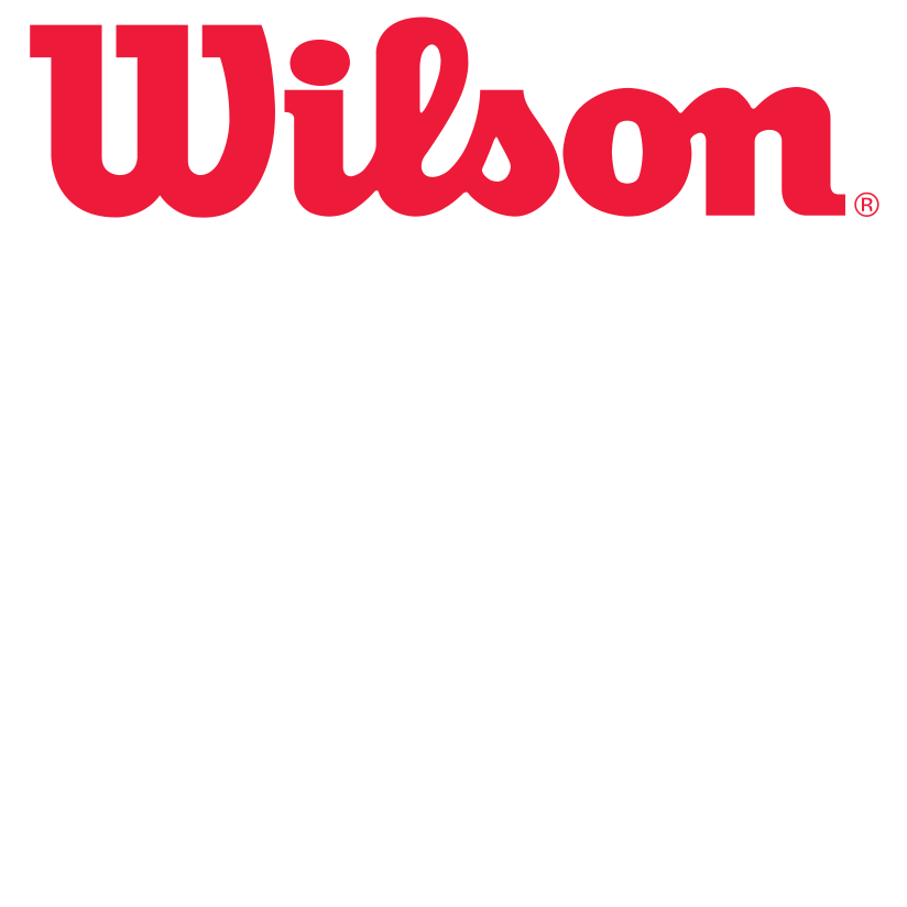 Wilson · the official ball